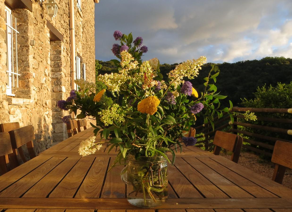 Les Hauts D'Issensac Causse-de-la-Selle ภายนอก รูปภาพ