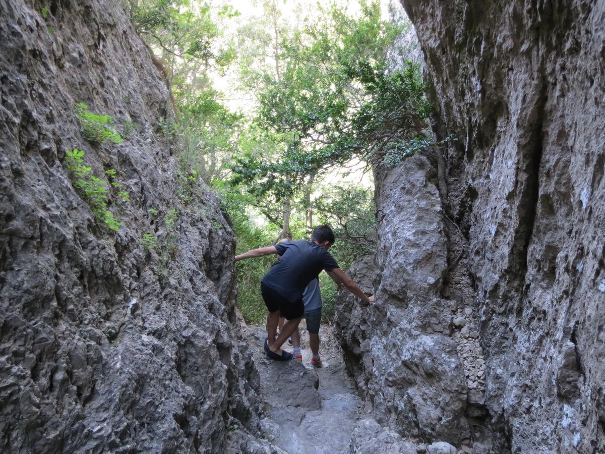 Les Hauts D'Issensac Causse-de-la-Selle ภายนอก รูปภาพ